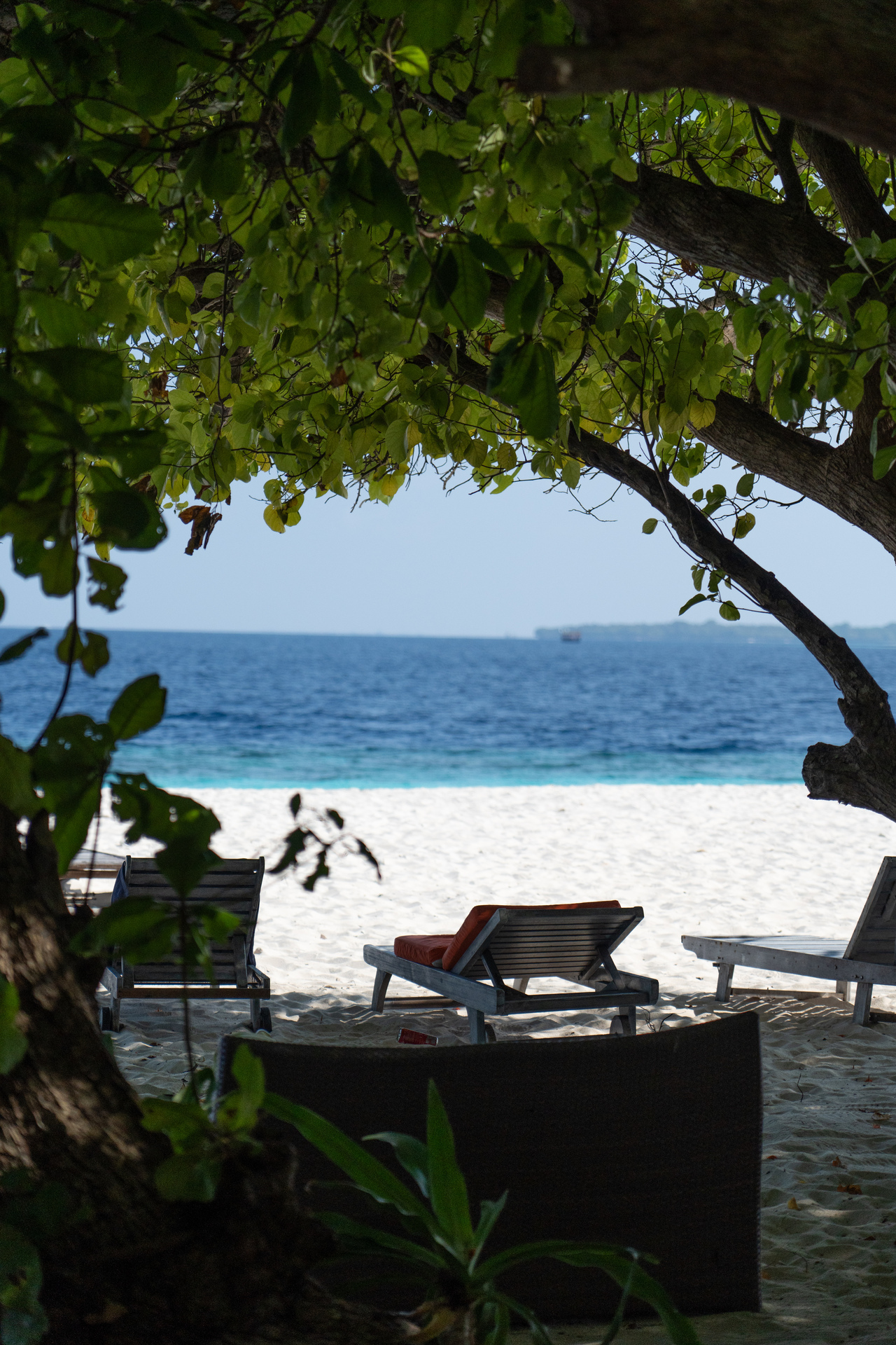 Kamadhoo gallery image 3
